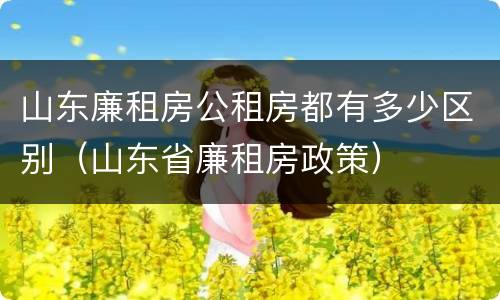 山东廉租房公租房都有多少区别（山东省廉租房政策）