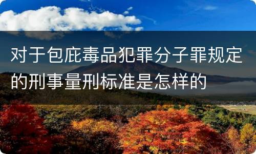 对于包庇毒品犯罪分子罪规定的刑事量刑标准是怎样的