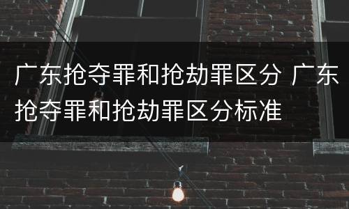广东抢夺罪和抢劫罪区分 广东抢夺罪和抢劫罪区分标准
