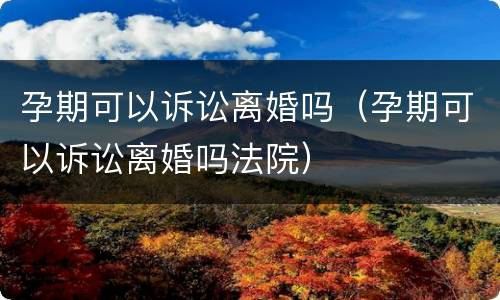 孕期可以诉讼离婚吗（孕期可以诉讼离婚吗法院）