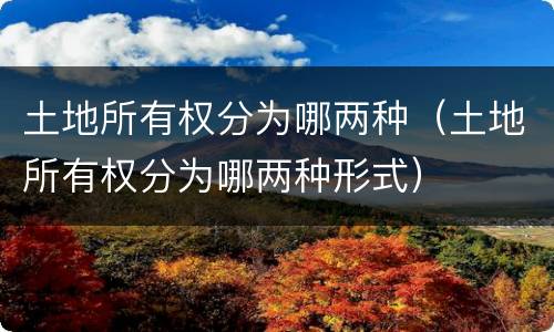 土地所有权分为哪两种（土地所有权分为哪两种形式）