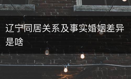 辽宁同居关系及事实婚姻差异是啥