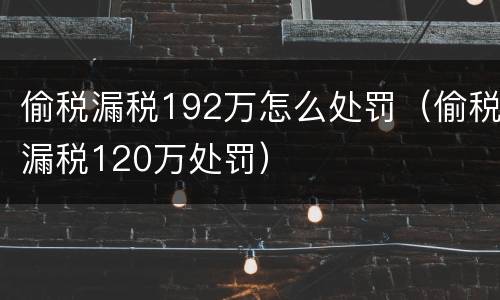 偷税漏税192万怎么处罚（偷税漏税120万处罚）