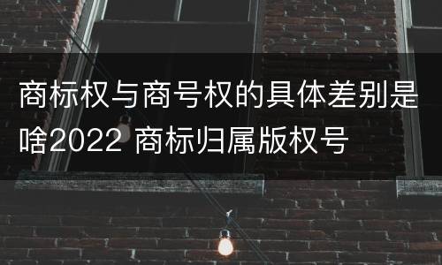 商标权与商号权的具体差别是啥2022 商标归属版权号