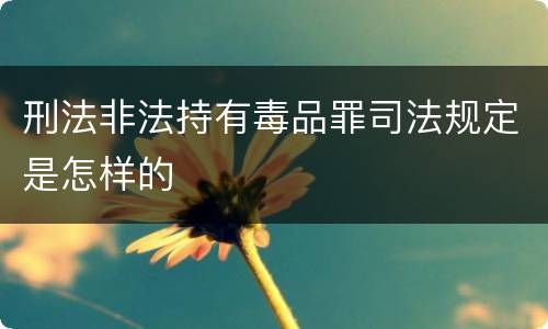 刑法非法持有毒品罪司法规定是怎样的