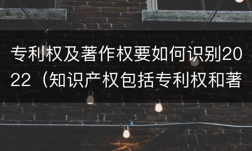 专利权及著作权要如何识别2022（知识产权包括专利权和著作权吗）