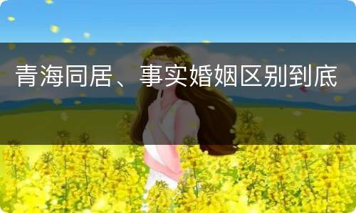 青海同居、事实婚姻区别到底