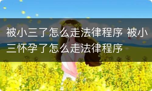 被小三了怎么走法律程序 被小三怀孕了怎么走法律程序