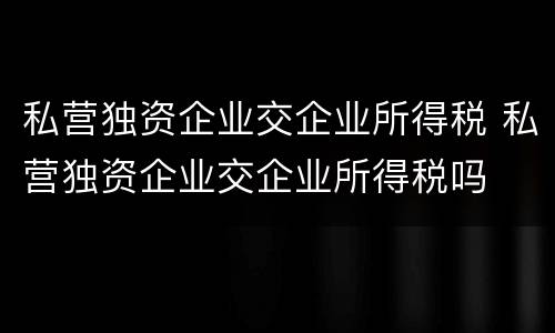 私营独资企业交企业所得税 私营独资企业交企业所得税吗
