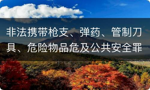 非法携带枪支、弹药、管制刀具、危险物品危及公共安全罪立案标准是什么