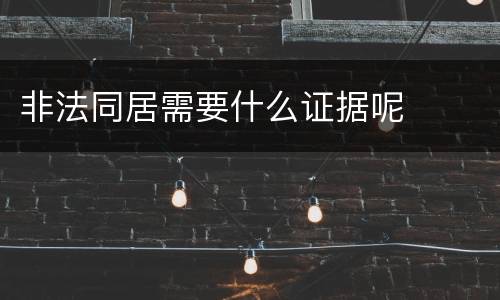 非法同居需要什么证据呢