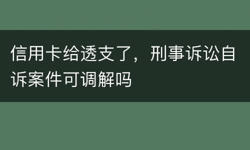 信用卡给透支了，刑事诉讼自诉案件可调解吗