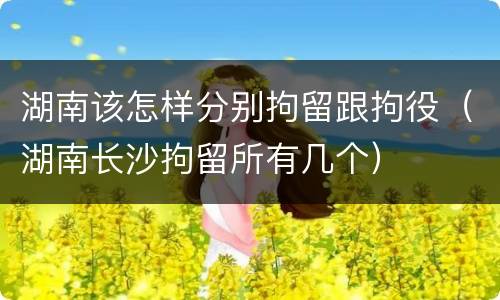 湖南该怎样分别拘留跟拘役（湖南长沙拘留所有几个）