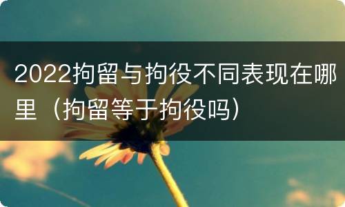 2022拘留与拘役不同表现在哪里（拘留等于拘役吗）