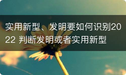 实用新型、发明要如何识别2022 判断发明或者实用新型