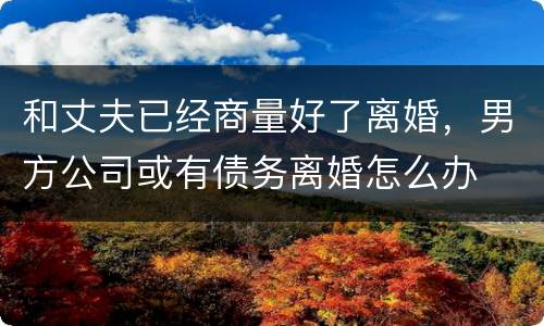 和丈夫已经商量好了离婚，男方公司或有债务离婚怎么办