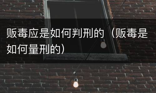 贩毒应是如何判刑的（贩毒是如何量刑的）