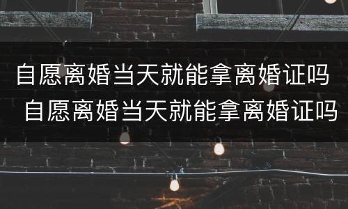 自愿离婚当天就能拿离婚证吗 自愿离婚当天就能拿离婚证吗