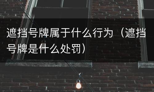 遮挡号牌属于什么行为（遮挡号牌是什么处罚）