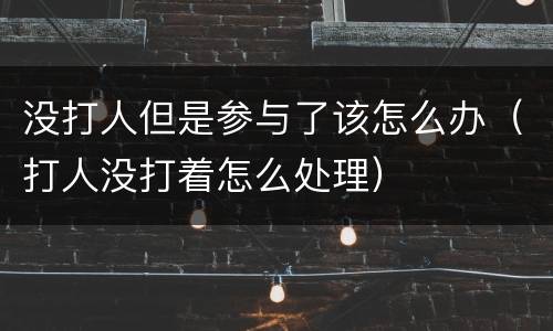 没打人但是参与了该怎么办（打人没打着怎么处理）