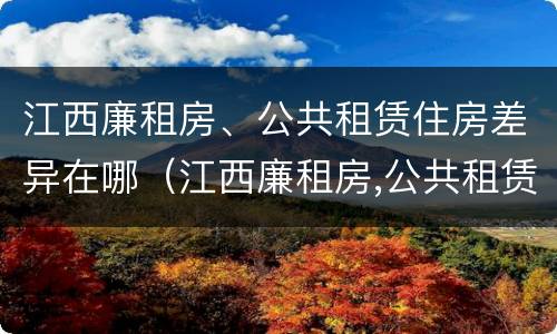 江西廉租房、公共租赁住房差异在哪（江西廉租房,公共租赁住房差异在哪查询）