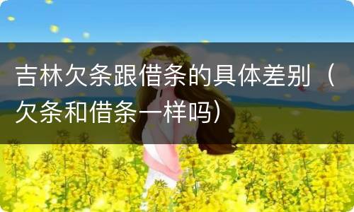吉林欠条跟借条的具体差别（欠条和借条一样吗）