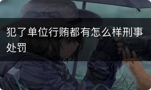 犯了单位行贿都有怎么样刑事处罚