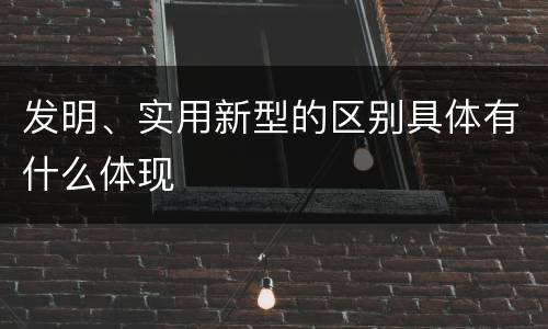 发明、实用新型的区别具体有什么体现