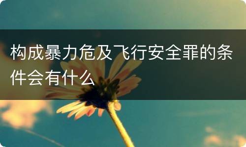 构成暴力危及飞行安全罪的条件会有什么