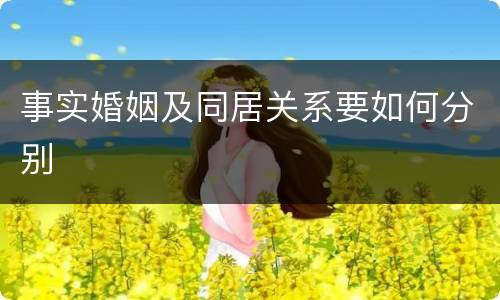 事实婚姻及同居关系要如何分别