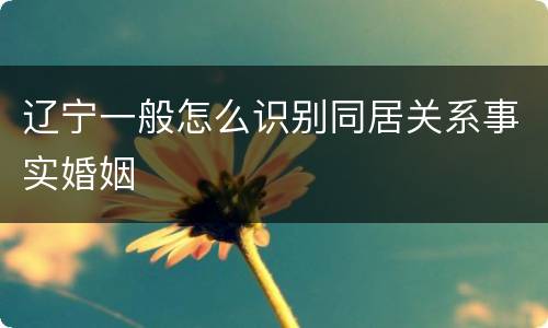 辽宁一般怎么识别同居关系事实婚姻