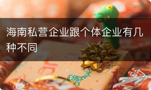 海南私营企业跟个体企业有几种不同