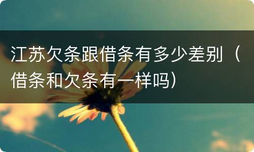 江苏欠条跟借条有多少差别（借条和欠条有一样吗）