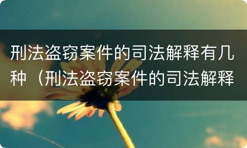 刑法盗窃案件的司法解释有几种（刑法盗窃案件的司法解释有几种类型）