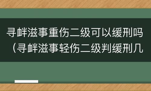 寻衅滋事重伤二级可以缓刑吗（寻衅滋事轻伤二级判缓刑几率大吗）