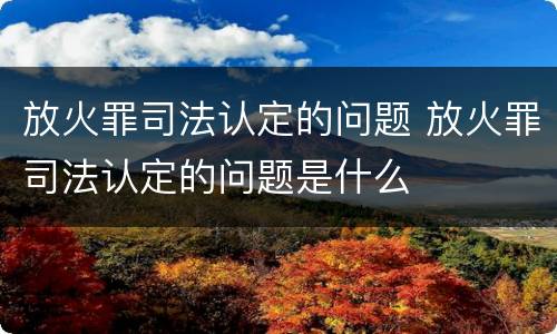 放火罪司法认定的问题 放火罪司法认定的问题是什么