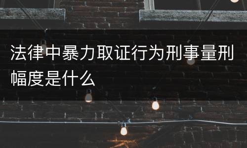 法律中暴力取证行为刑事量刑幅度是什么