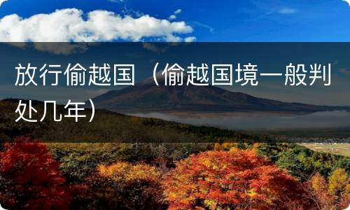 放行偷越国（偷越国境一般判处几年）