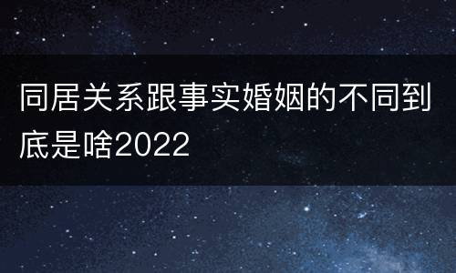 同居关系跟事实婚姻的不同到底是啥2022