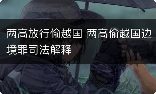 两高放行偷越国 两高偷越国边境罪司法解释