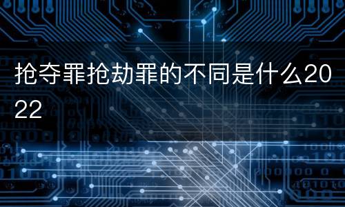 抢夺罪抢劫罪的不同是什么2022