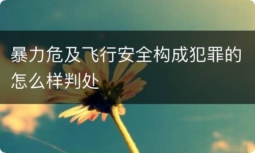 暴力危及飞行安全构成犯罪的怎么样判处