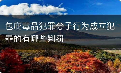 包庇毒品犯罪分子行为成立犯罪的有哪些判罚