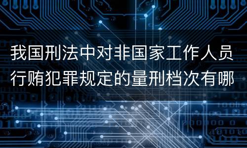 我国刑法中对非国家工作人员行贿犯罪规定的量刑档次有哪些