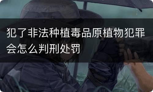 犯了非法种植毒品原植物犯罪会怎么判刑处罚