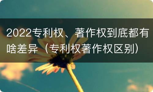 2022专利权、著作权到底都有啥差异（专利权著作权区别）