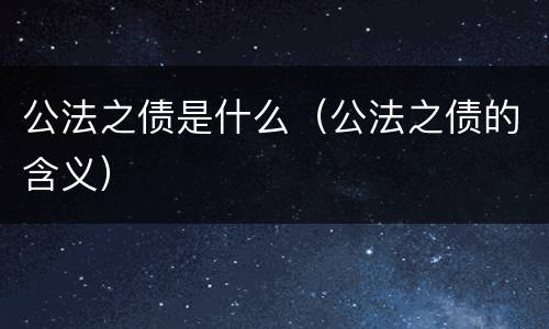 公法之债是什么（公法之债的含义）