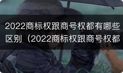 2022商标权跟商号权都有哪些区别（2022商标权跟商号权都有哪些区别呢）