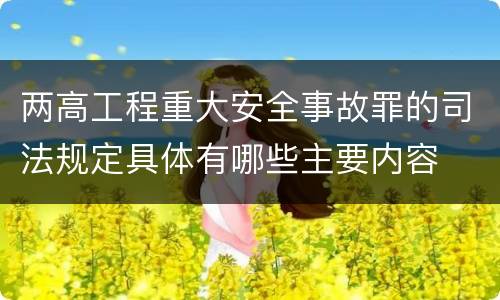 两高工程重大安全事故罪的司法规定具体有哪些主要内容