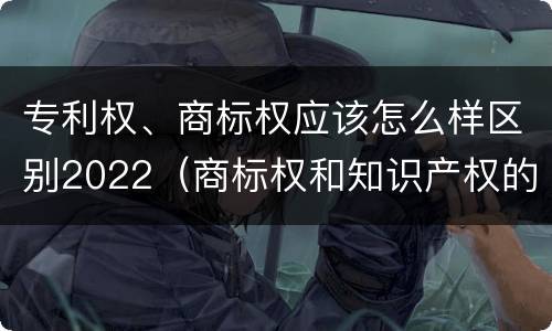 专利权、商标权应该怎么样区别2022（商标权和知识产权的区别）